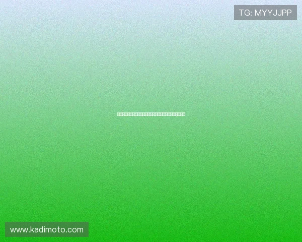 荷兰对突尼斯比赛关键战术变化及比赛中表现出色的球员分析